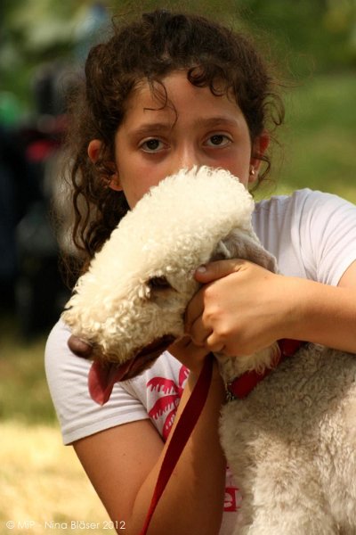 2012-07-01 B & B - Bedlington & Bichon Fun Day (316)_1000x1500.jpg